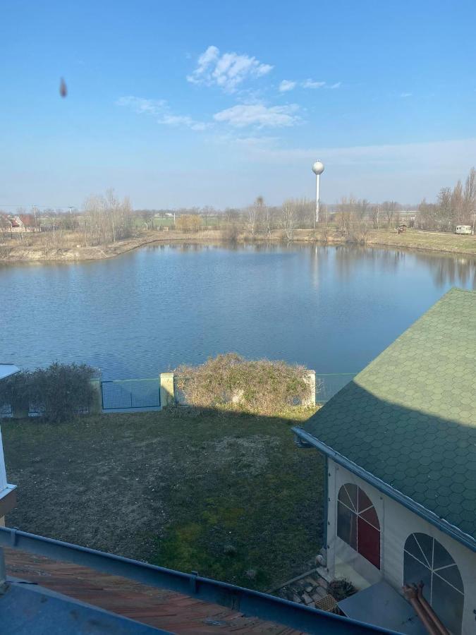 La Curia Panzio Bed & Breakfast Dunaszeg Luaran gambar