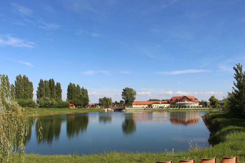 La Curia Panzio Bed & Breakfast Dunaszeg Luaran gambar